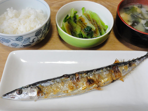 f:id:Pulin:20161030124223j:image