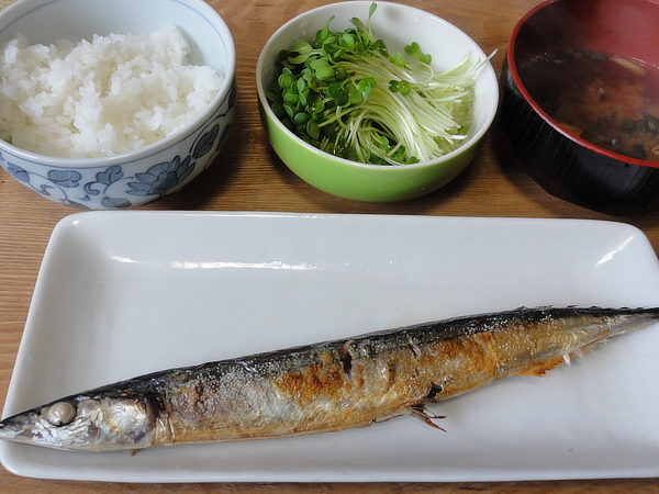 f:id:Pulin:20161204175422j:image