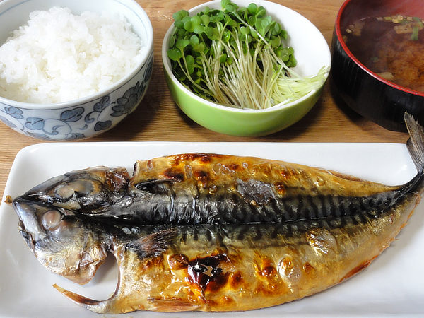 f:id:Pulin:20161215180530j:image