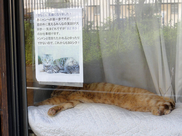 f:id:Pulin:20170616181837j:image