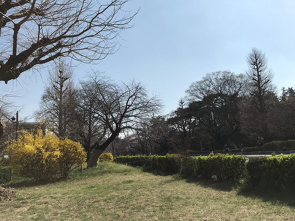 f:id:Pulin:20190326171747j:plain