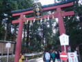 20090101124436