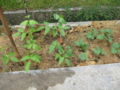20090709164053