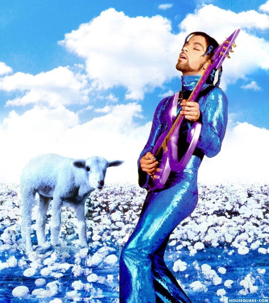 f:id:PurpleUniversity:20200615121542j:plain