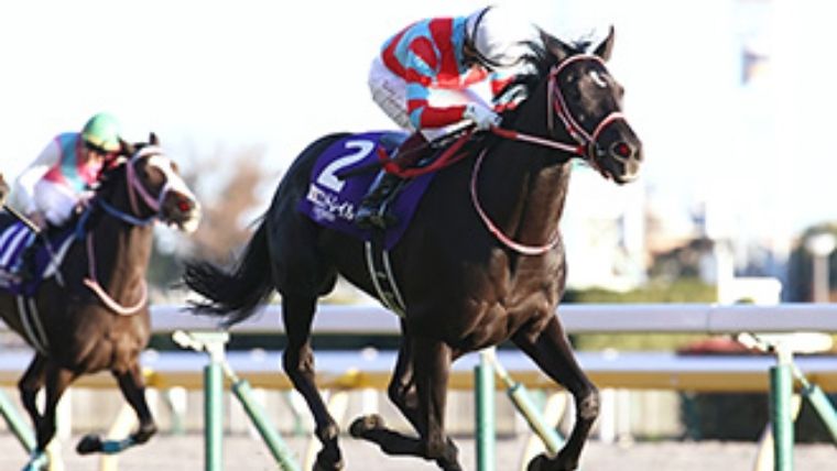 f:id:PyQhw0:20211205124510j:plain