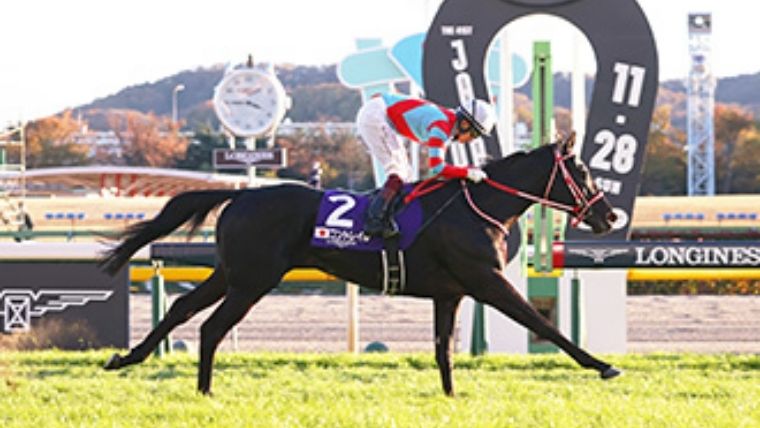 f:id:PyQhw0:20211205124627j:plain