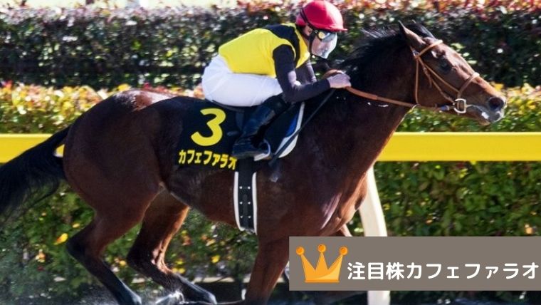 f:id:PyQhw0:20211205145034j:plain