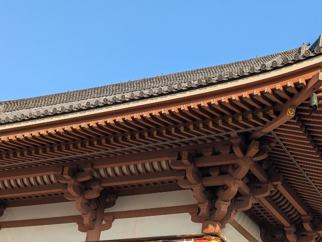 f:id:Pygmalionism00:20250124105833j:image