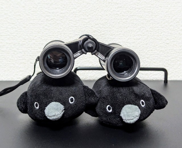 f:id:Pygmalionism00:20250204170811j:image