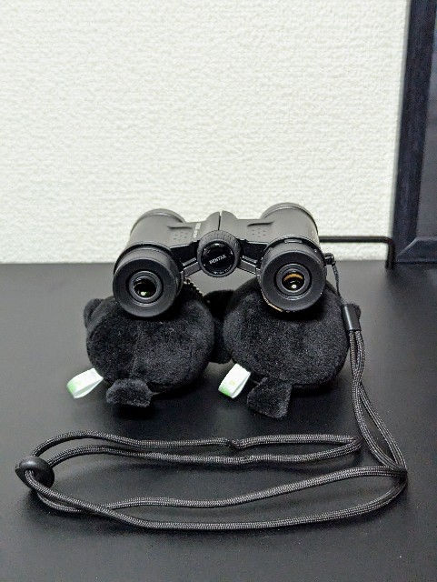 f:id:Pygmalionism00:20250204170900j:image