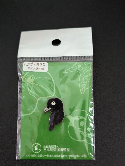 f:id:Pygmalionism00:20250305102256j:image