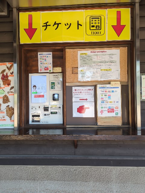 f:id:Pygmalionism00:20250326084115j:image