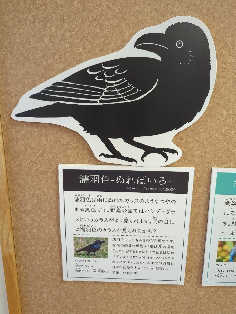 f:id:Pygmalionism00:20250326085013j:image