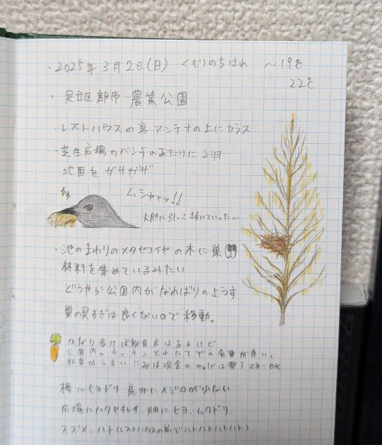 f:id:Pygmalionism00:20250329112226j:image