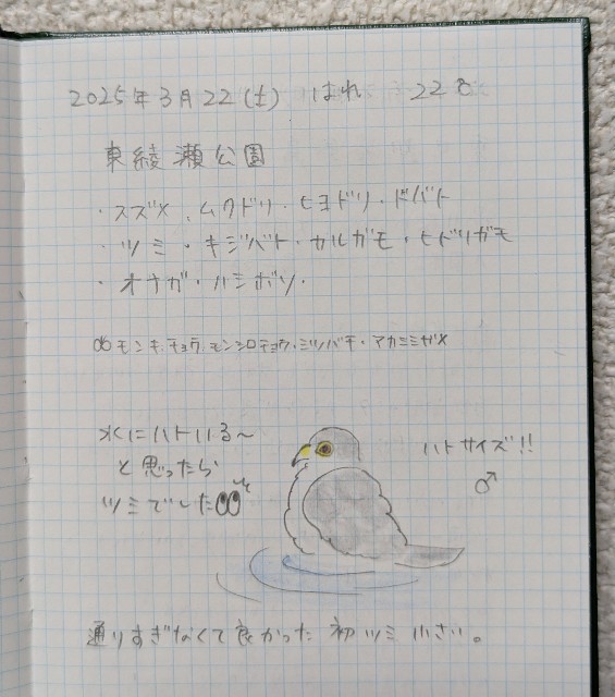 f:id:Pygmalionism00:20250329112552j:image