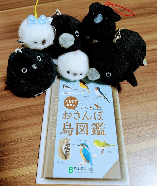 f:id:Pygmalionism00:20250402091319j:image