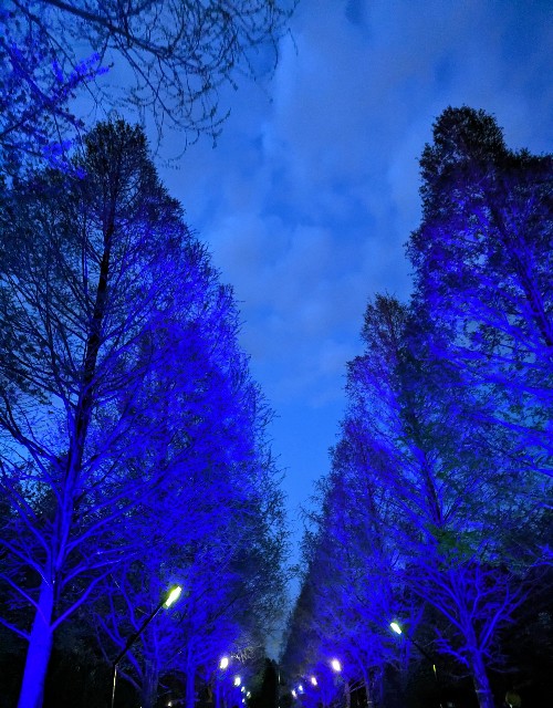 f:id:Pygmalionism00:20250413104905j:image