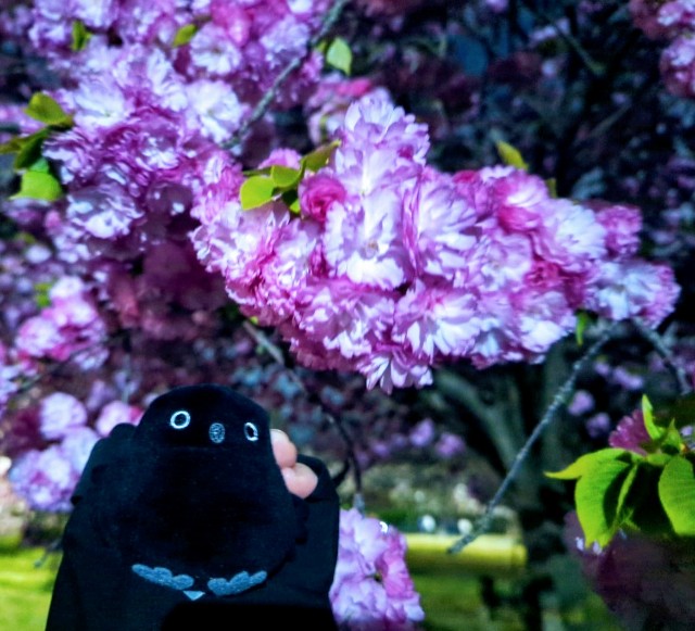 f:id:Pygmalionism00:20250413105115j:image