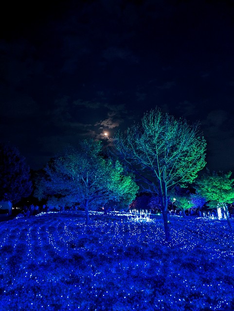 f:id:Pygmalionism00:20250413105213j:image
