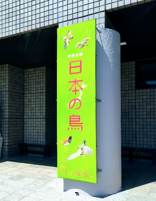 f:id:Pygmalionism00:20250504153700j:image