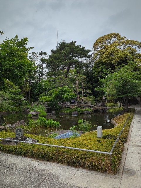 f:id:Pygmalionism00:20250509163940j:image