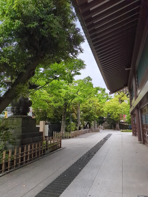 f:id:Pygmalionism00:20250509164014j:image
