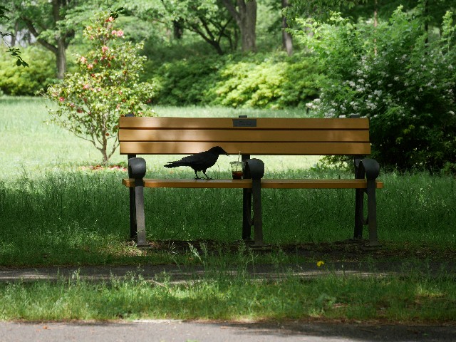 f:id:Pygmalionism00:20250513164913j:image