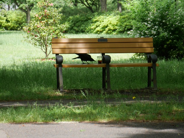 f:id:Pygmalionism00:20250513165834j:image
