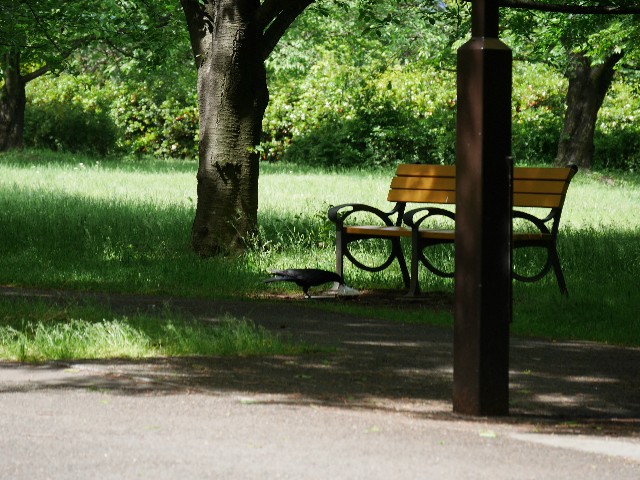 f:id:Pygmalionism00:20250513165902j:image