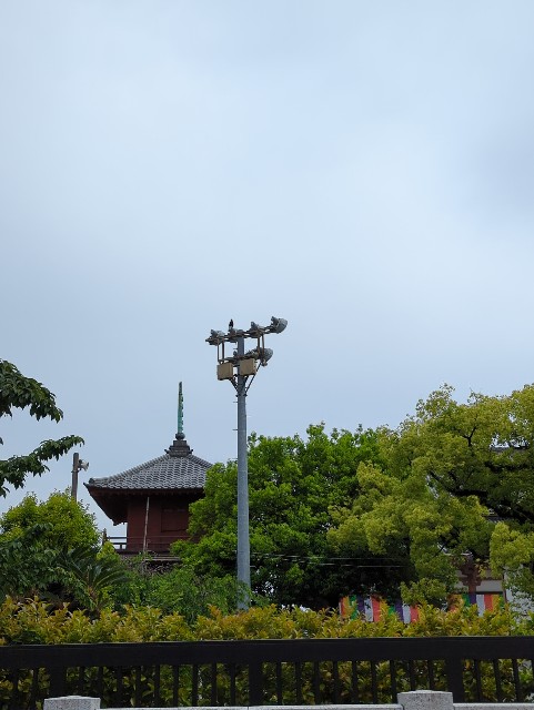 f:id:Pygmalionism00:20250518204957j:image