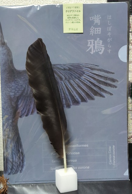 f:id:Pygmalionism00:20250519170327j:image