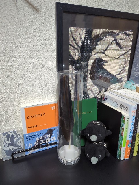 f:id:Pygmalionism00:20250519170407j:image