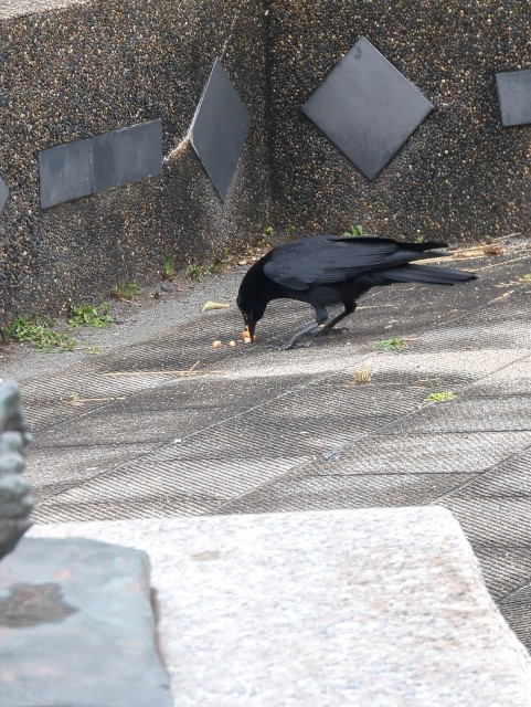 f:id:Pygmalionism00:20250531194532j:image