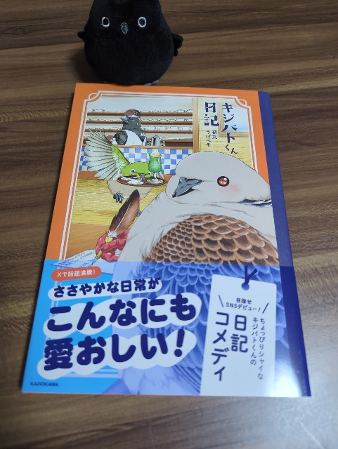 f:id:Pygmalionism00:20250611204258j:image