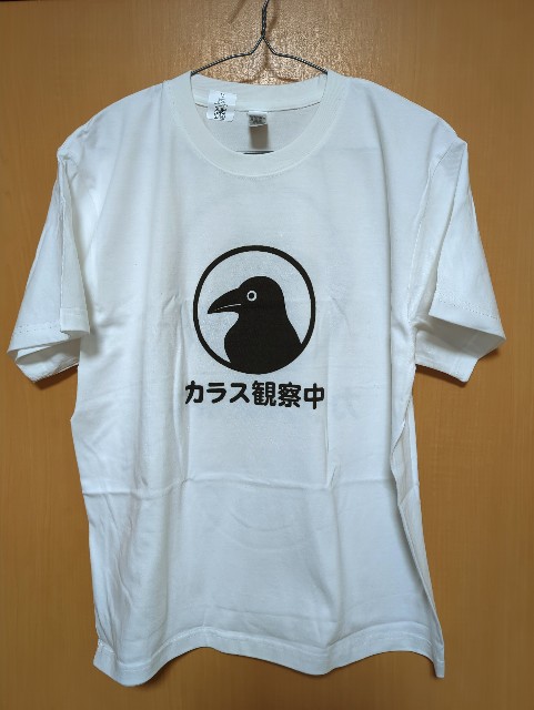 f:id:Pygmalionism00:20250629164539j:image