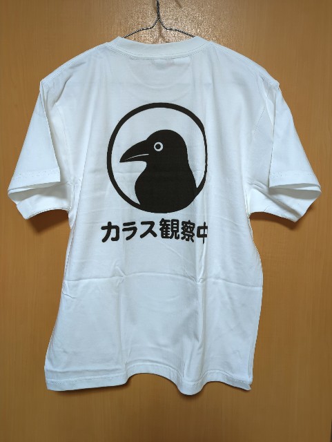 f:id:Pygmalionism00:20250629164612j:image