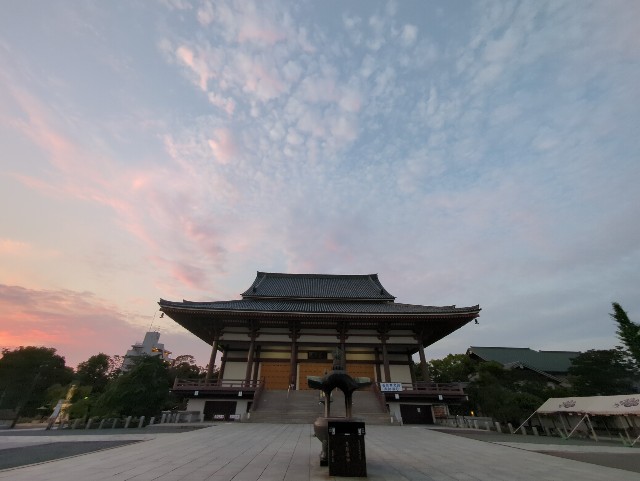 f:id:Pygmalionism00:20250701165231j:image