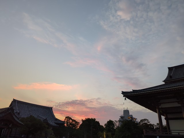 f:id:Pygmalionism00:20250701165946j:image