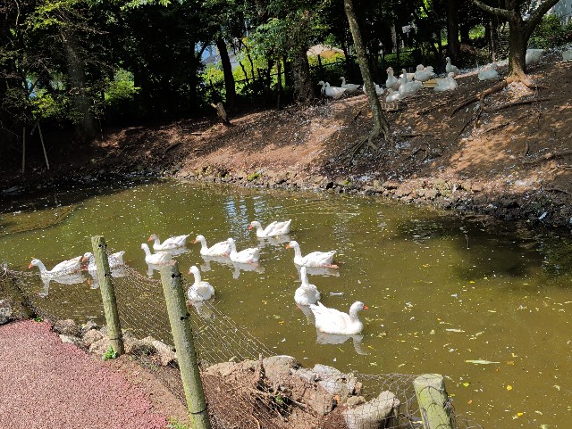 f:id:Pygmalionism00:20250830192112j:image