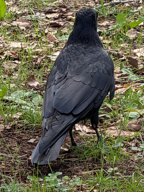 f:id:Pygmalionism00:20251005200646j:image