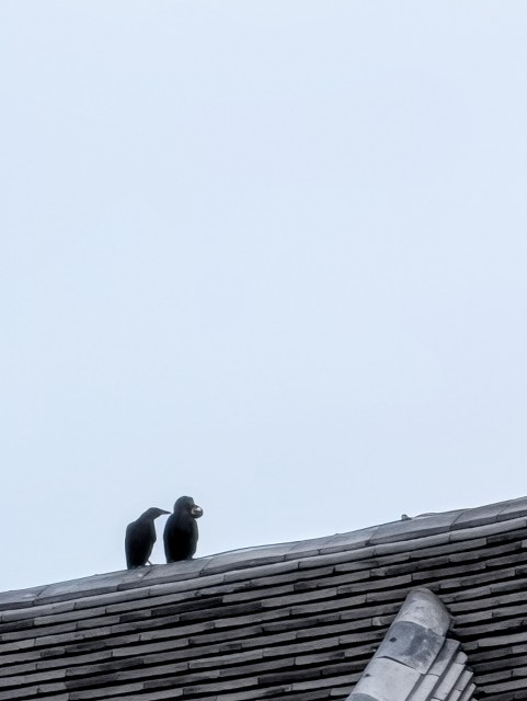 f:id:Pygmalionism00:20251010155820j:image f:id:Pygmalionism00:20251010155820j:image