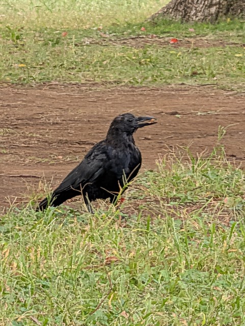 f:id:Pygmalionism00:20251014200511j:image f:id:Pygmalionism00:20251014200511j:image