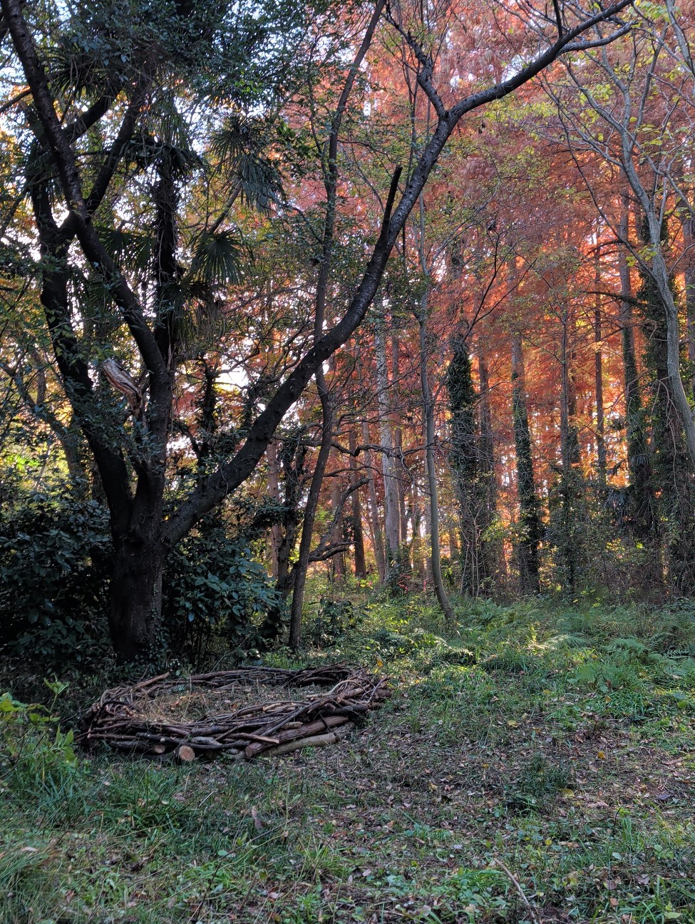 f:id:Pygmalionism00:20251130191426j:image