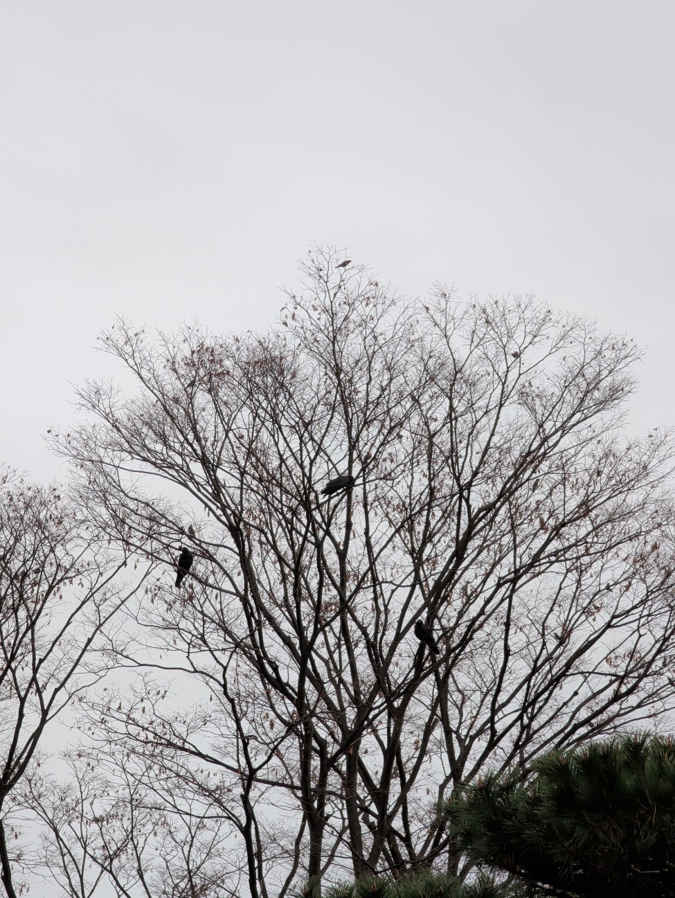f:id:Pygmalionism00:20251213211123j:image