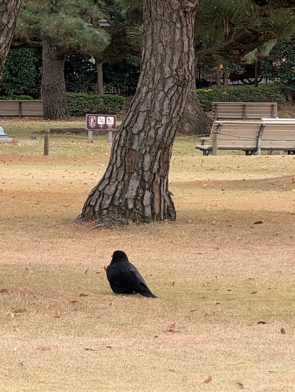 f:id:Pygmalionism00:20251219201225j:image