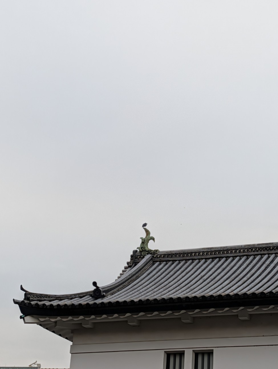 f:id:Pygmalionism00:20251222205459j:image