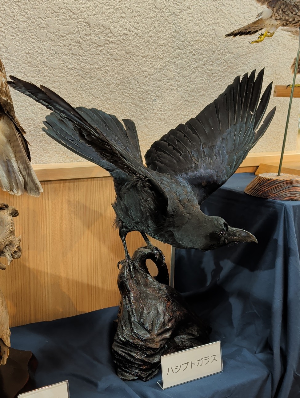 f:id:Pygmalionism00:20260119202319j:image f:id:Pygmalionism00:20260119202319j:image