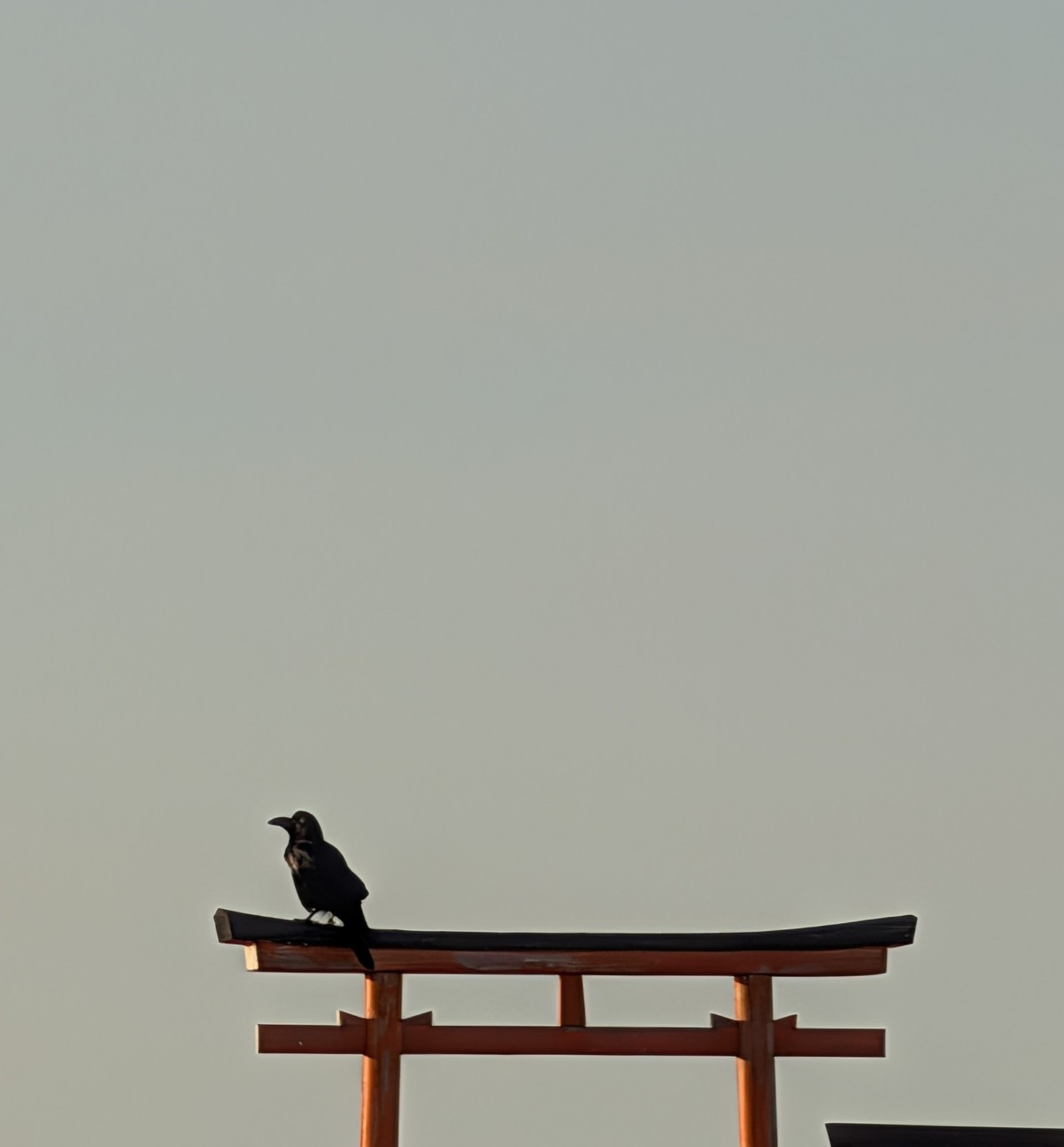 f:id:Pygmalionism00:20260130210354j:image