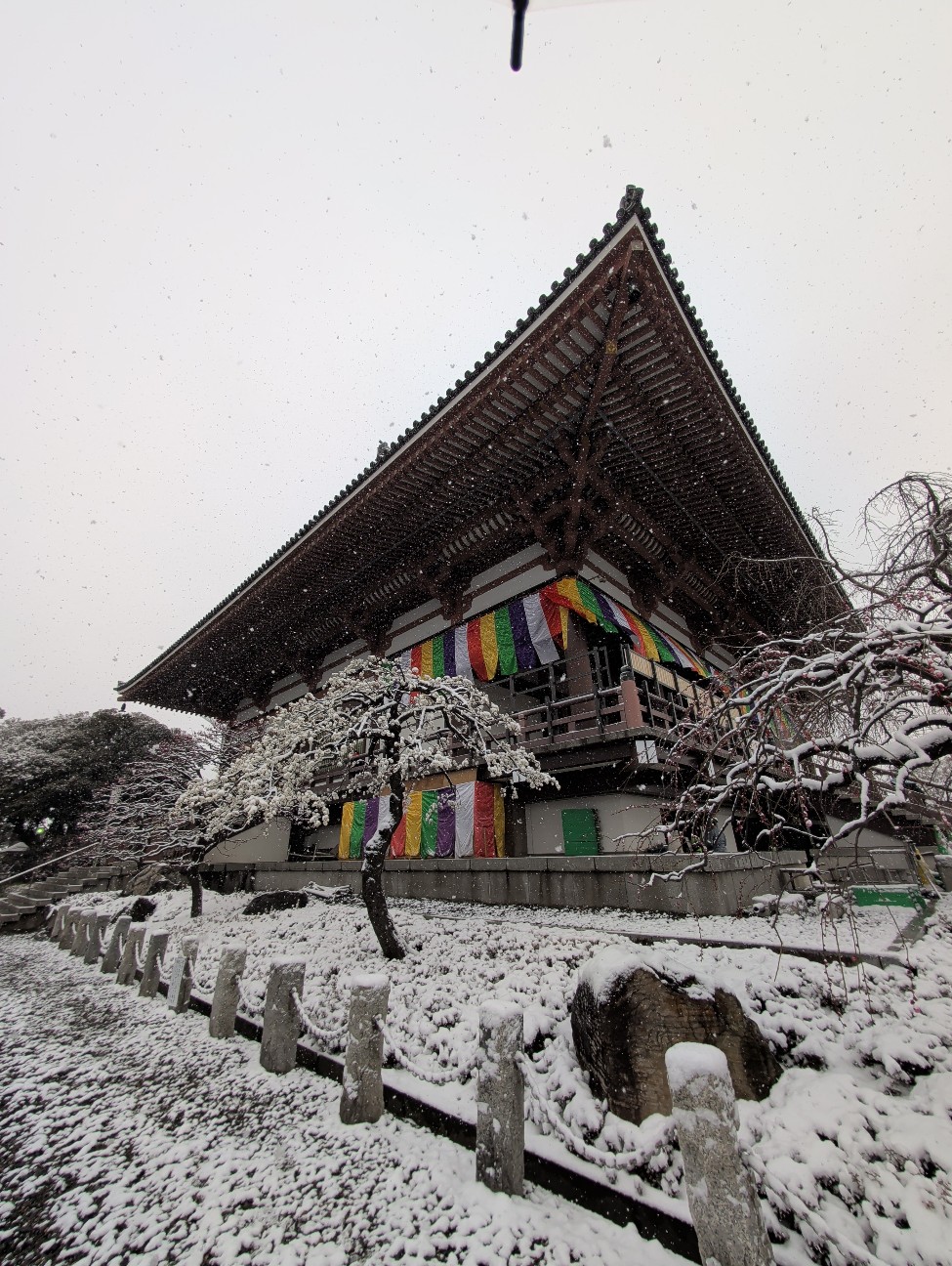 f:id:Pygmalionism00:20260208202448j:image