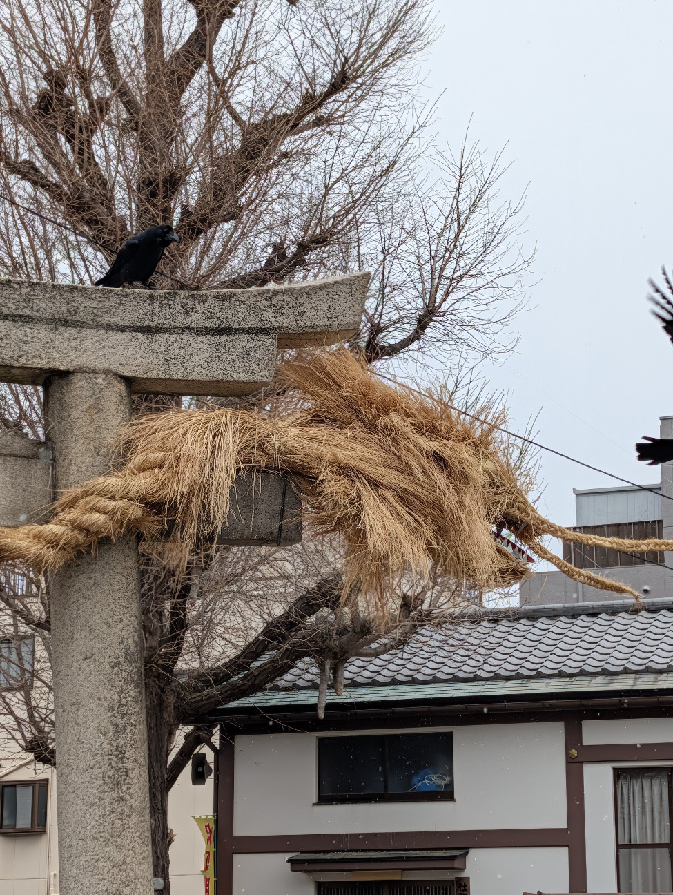 f:id:Pygmalionism00:20260209210145j:image